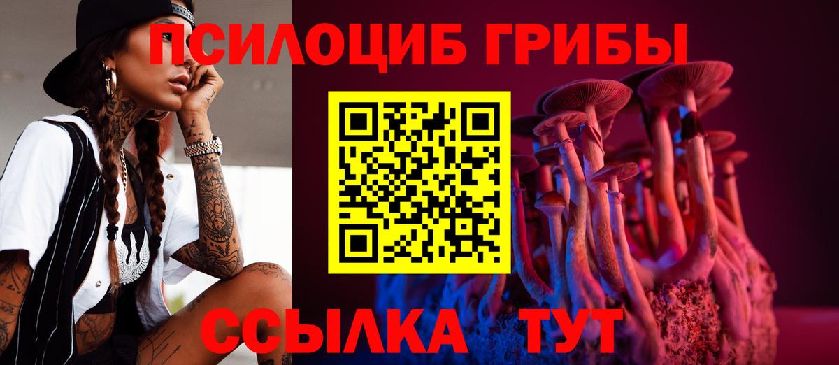 Псилоцибиновые грибы Cubensis Симферополь